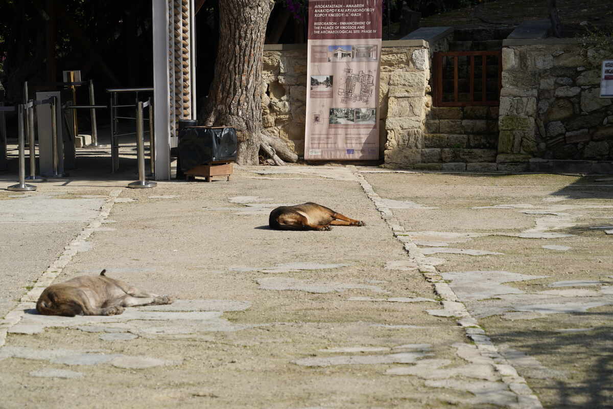 ϣ��-�����257�����ص�����ַ7