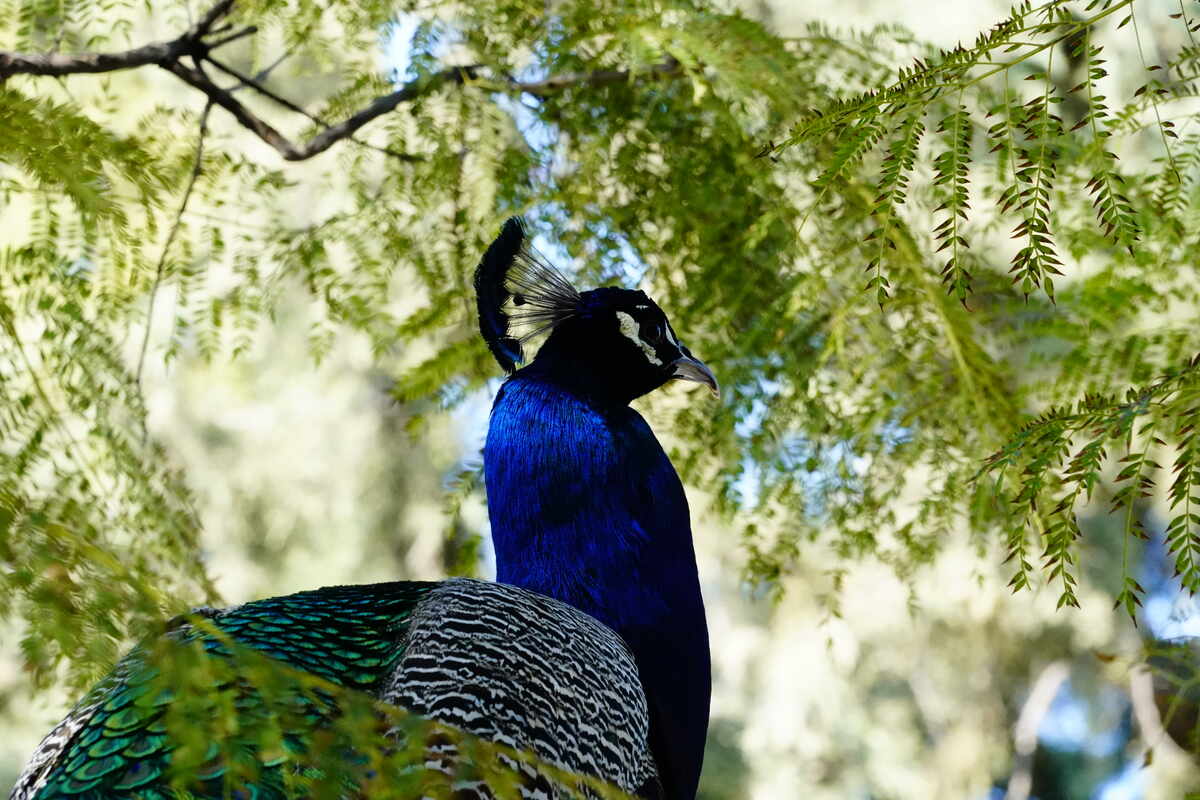 ϣ��-�����258�����ص�����ַ8